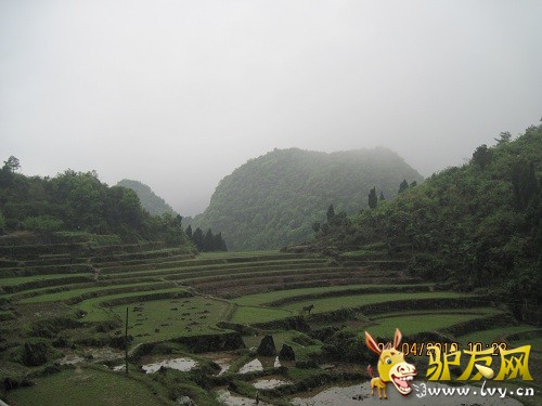 照片 086002.jpg